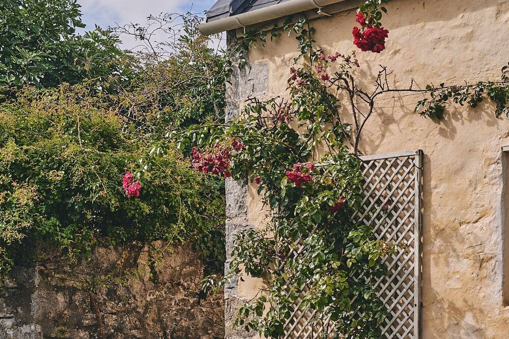 Photo of Outdoor in Gileston