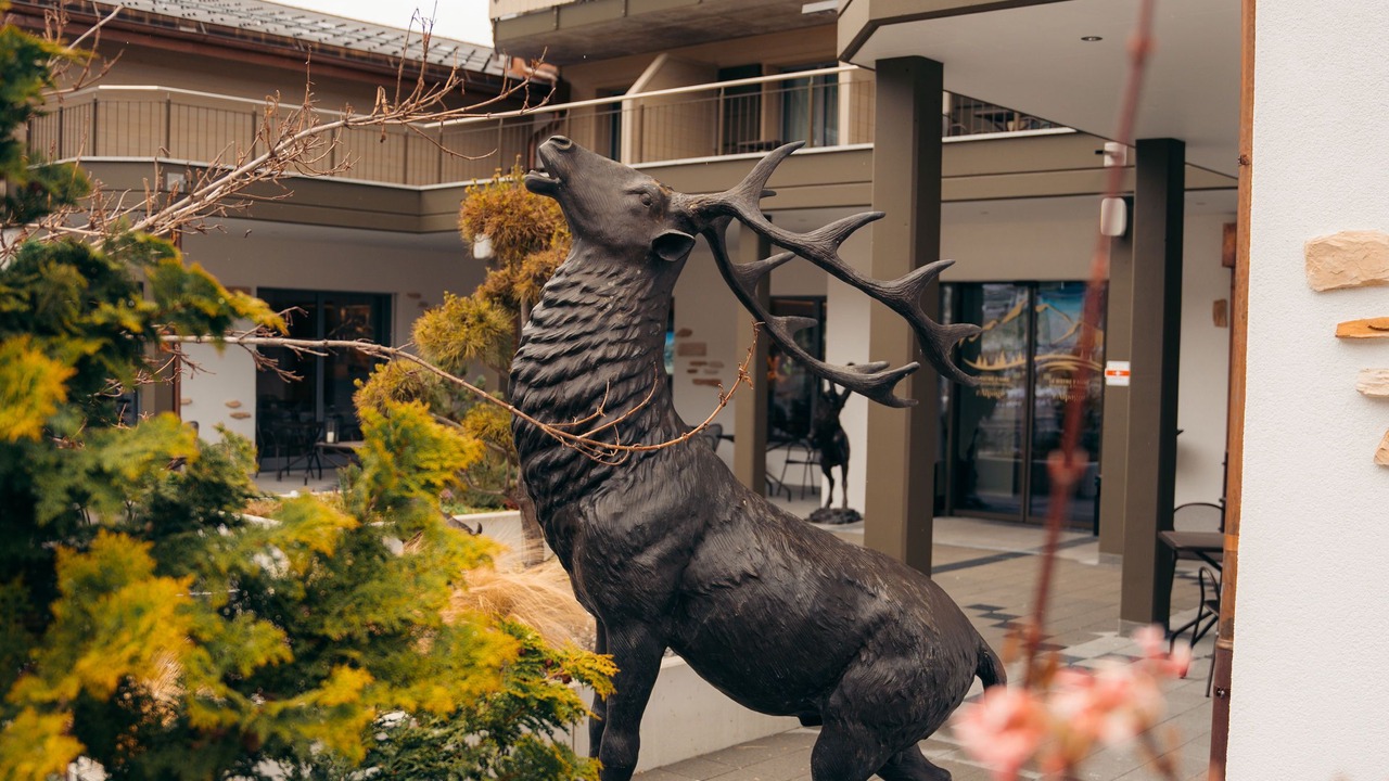 Photo of Outdoor in Les Paccots