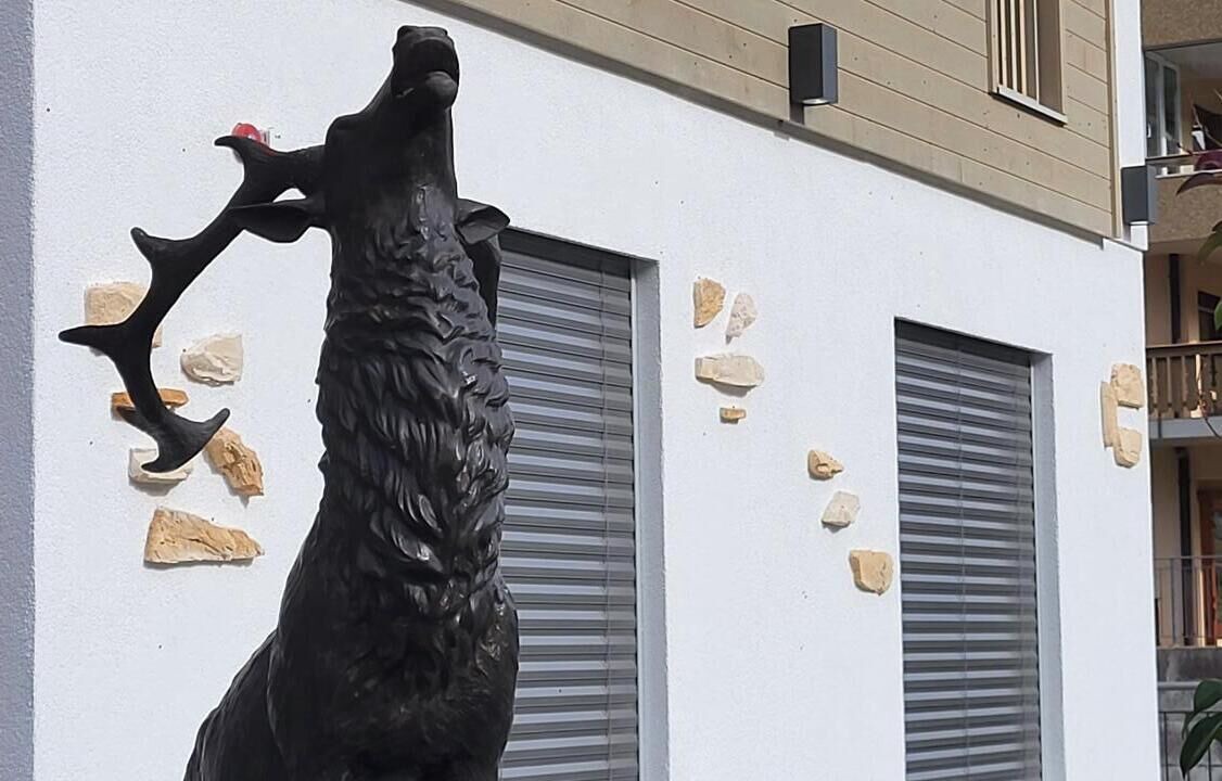 Photo of Outdoor in Les Paccots