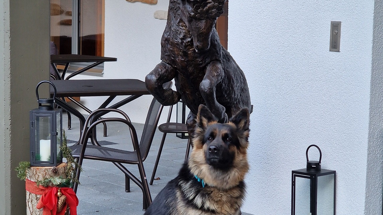 Photo of Outdoor in Les Paccots