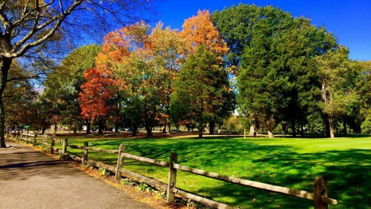 Photo of Others in Baldwin