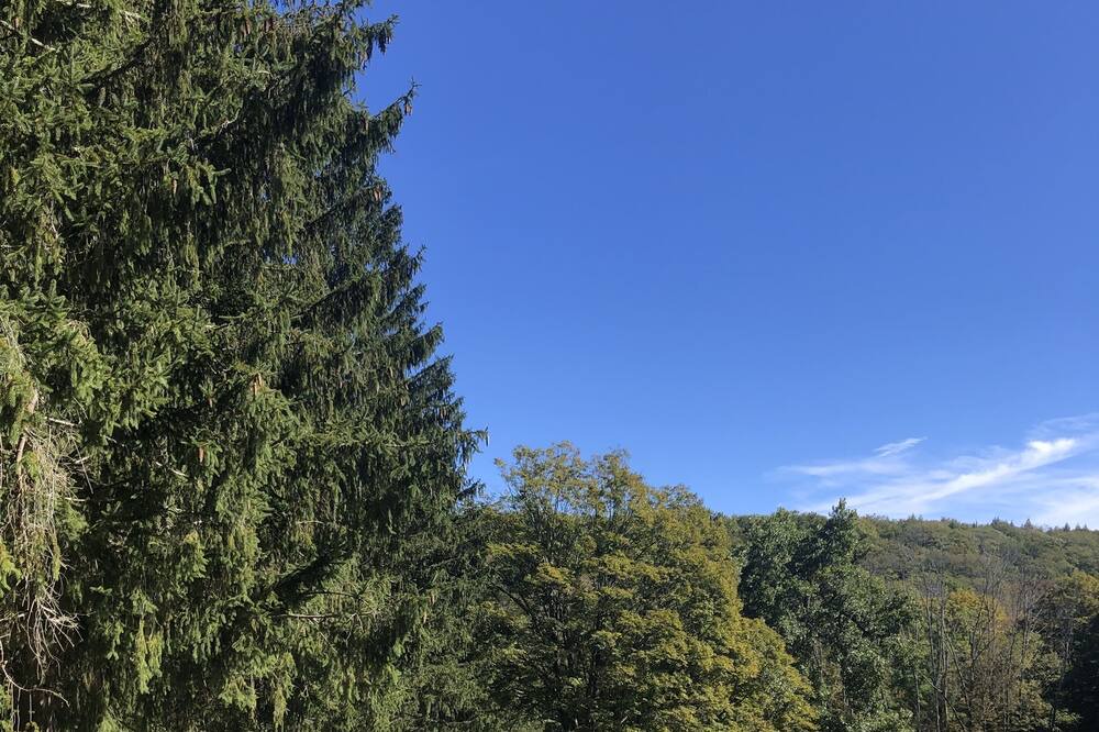 Photo of Others in West Stockbridge