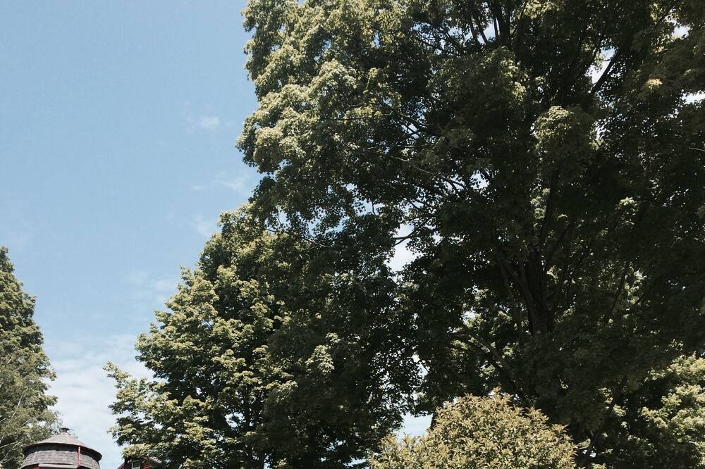 Photo of Others in West Stockbridge