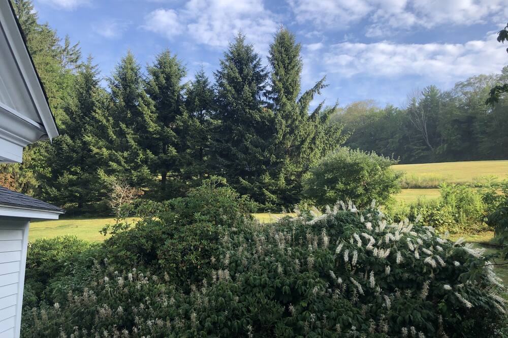 Photo of Outdoor in West Stockbridge