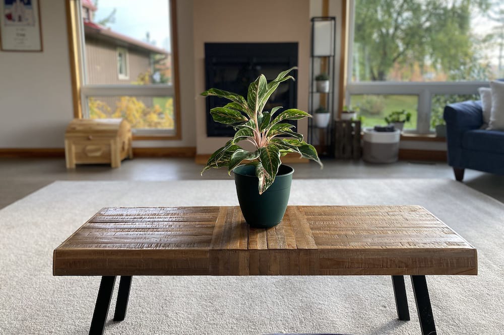 Photo of Livingroom in Calabogie