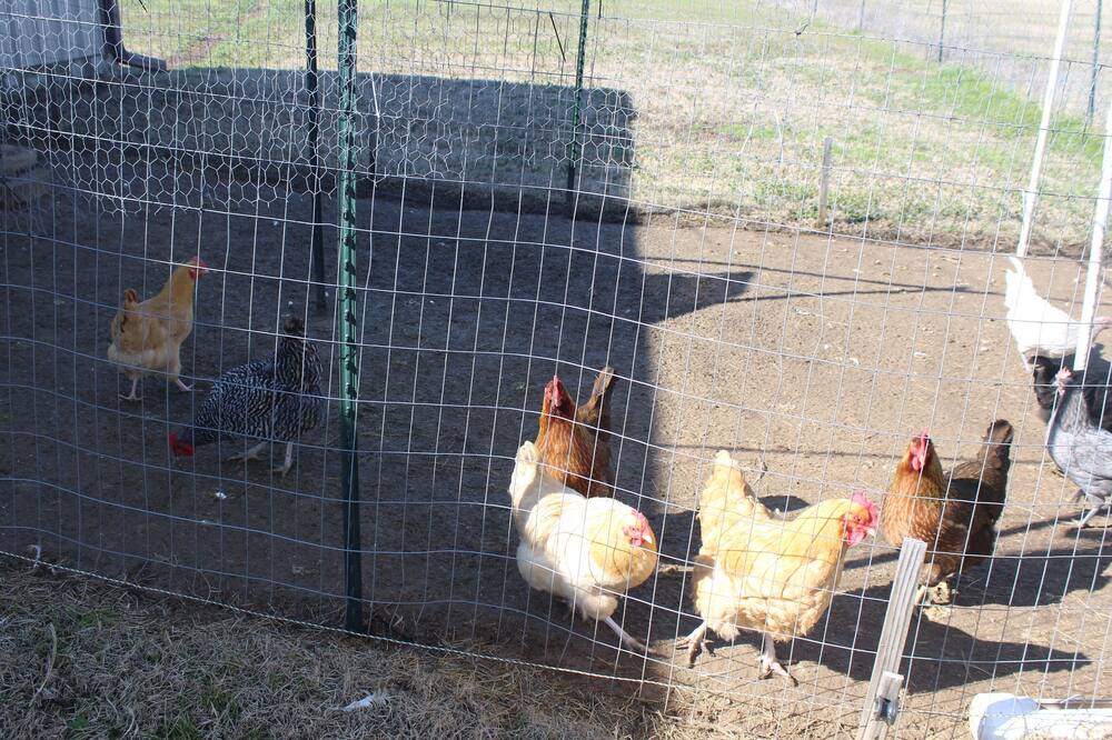 Photo of Others in Kaufman County