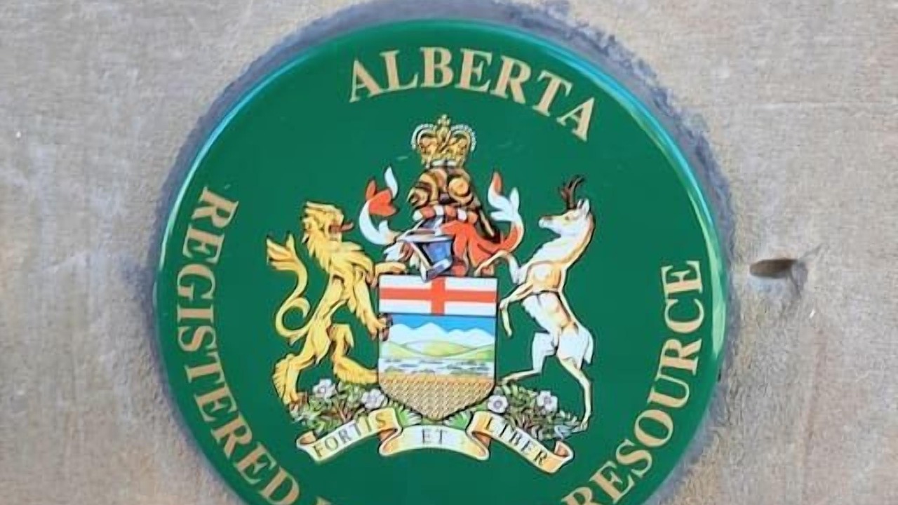 Photo of Others in Inglewood