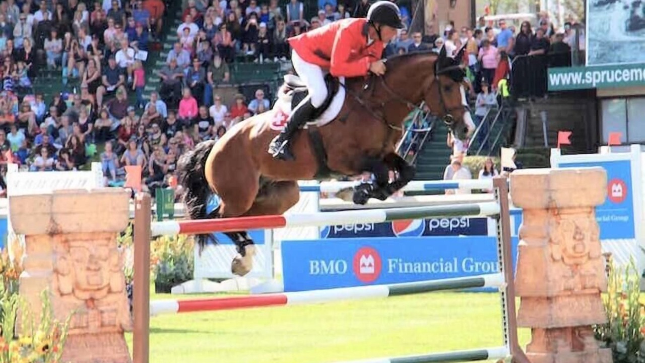 Photo of Others in Southwest Calgary