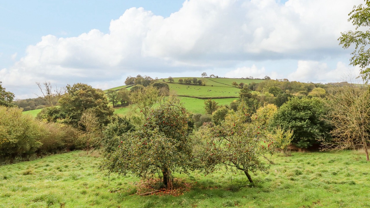 Photo of Others in Newton Saint Cyres