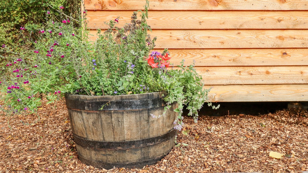 Photo of Outdoor in Newton Saint Cyres