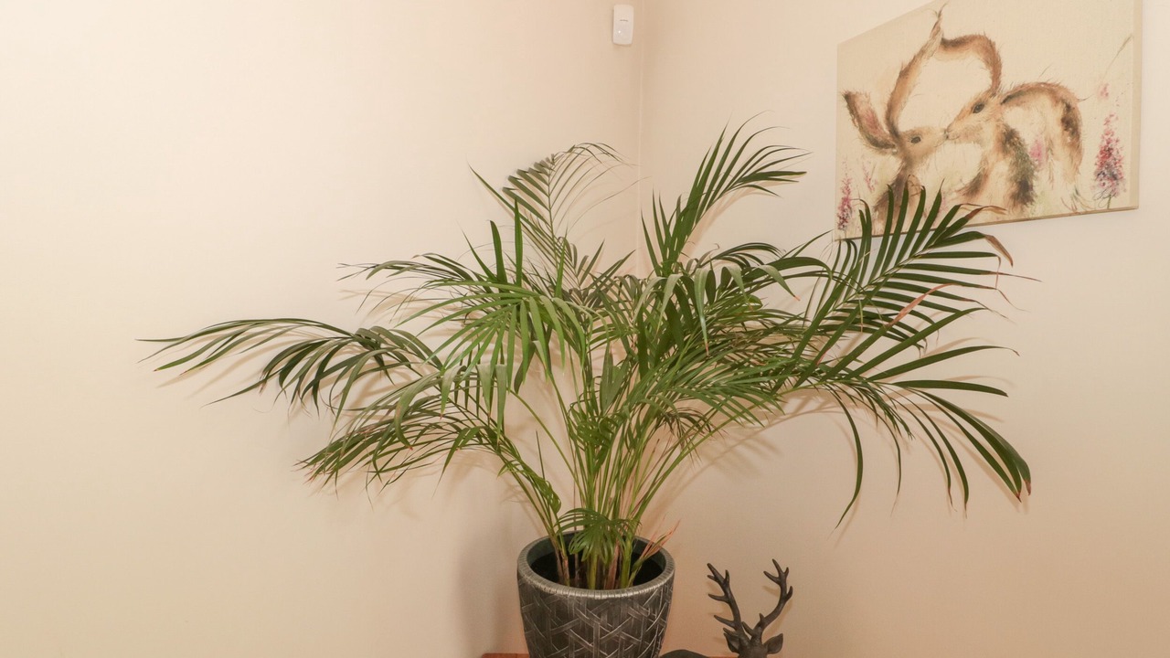 Photo of Others in Milton Abbas