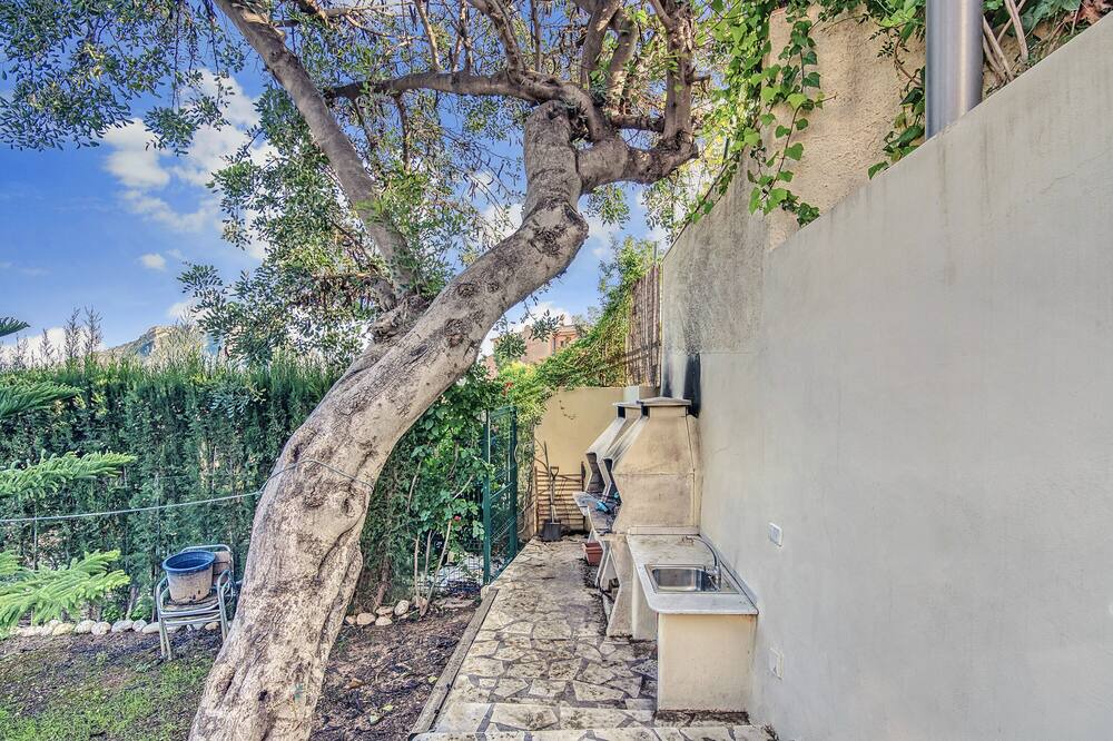 Photo of Outdoor in Gandia