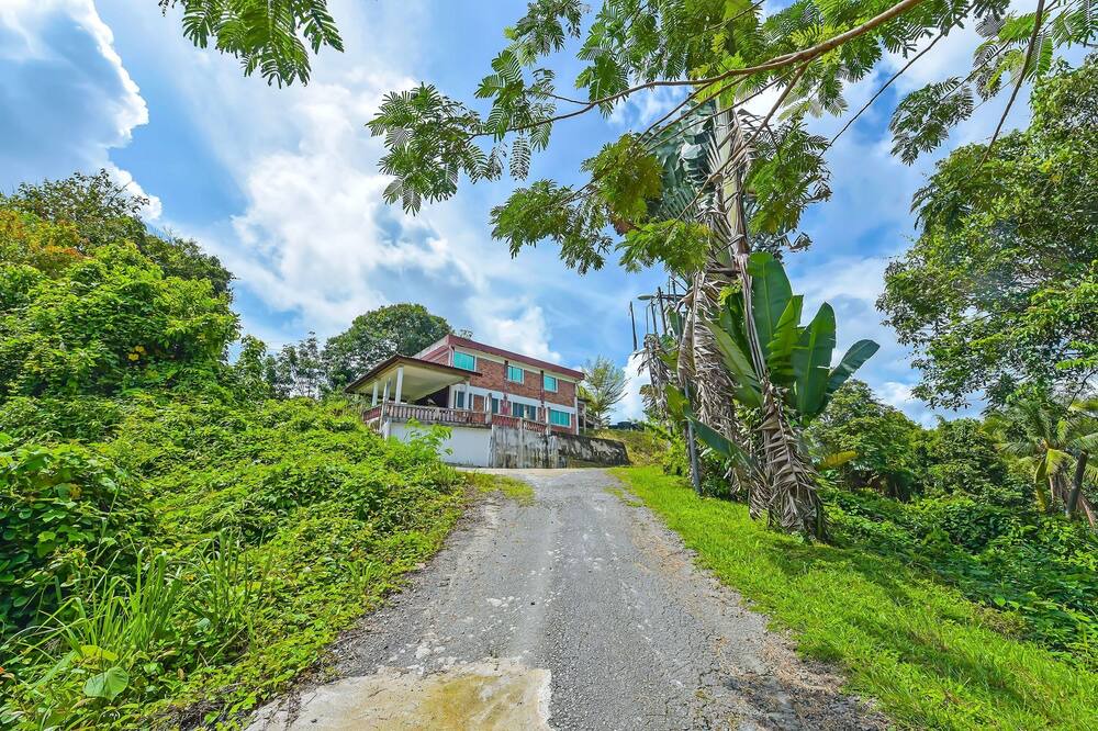 Photo of Outdoor in Kuala Tahan