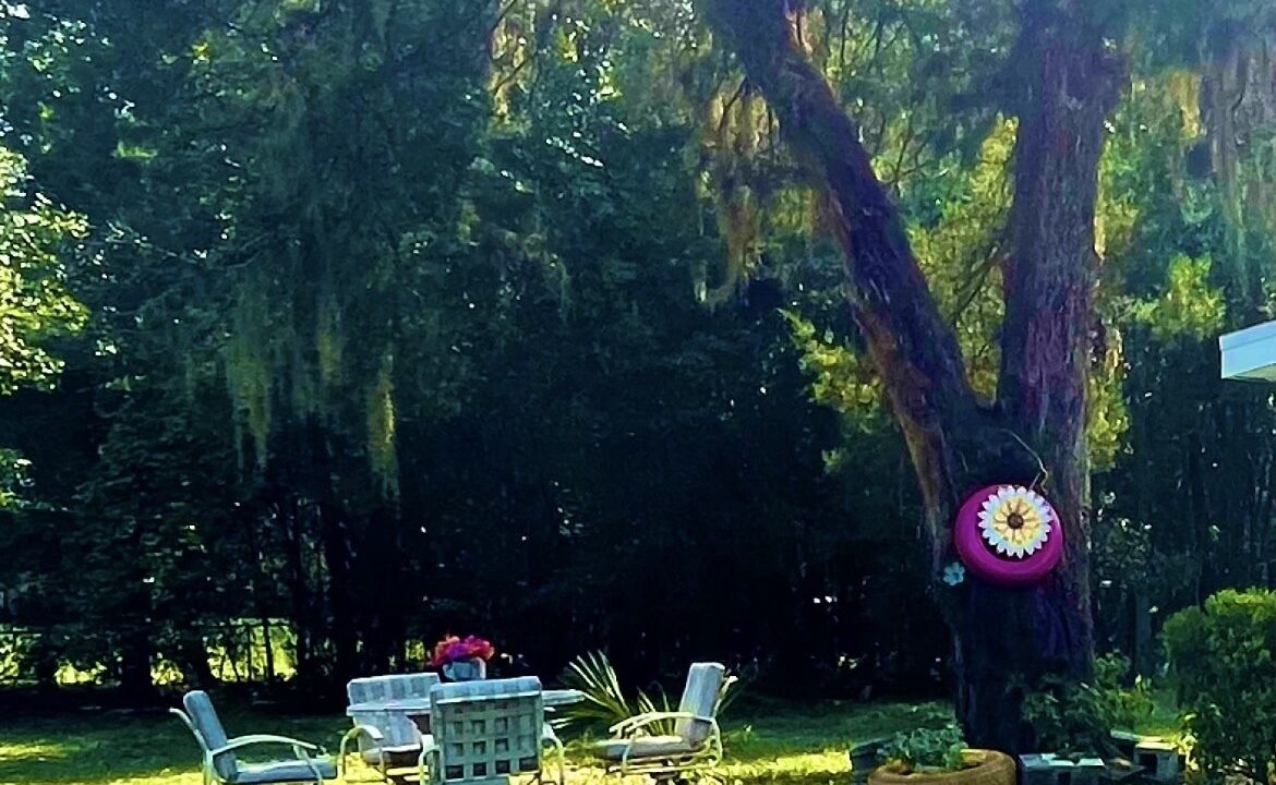 Photo of Outdoor in Lakeside