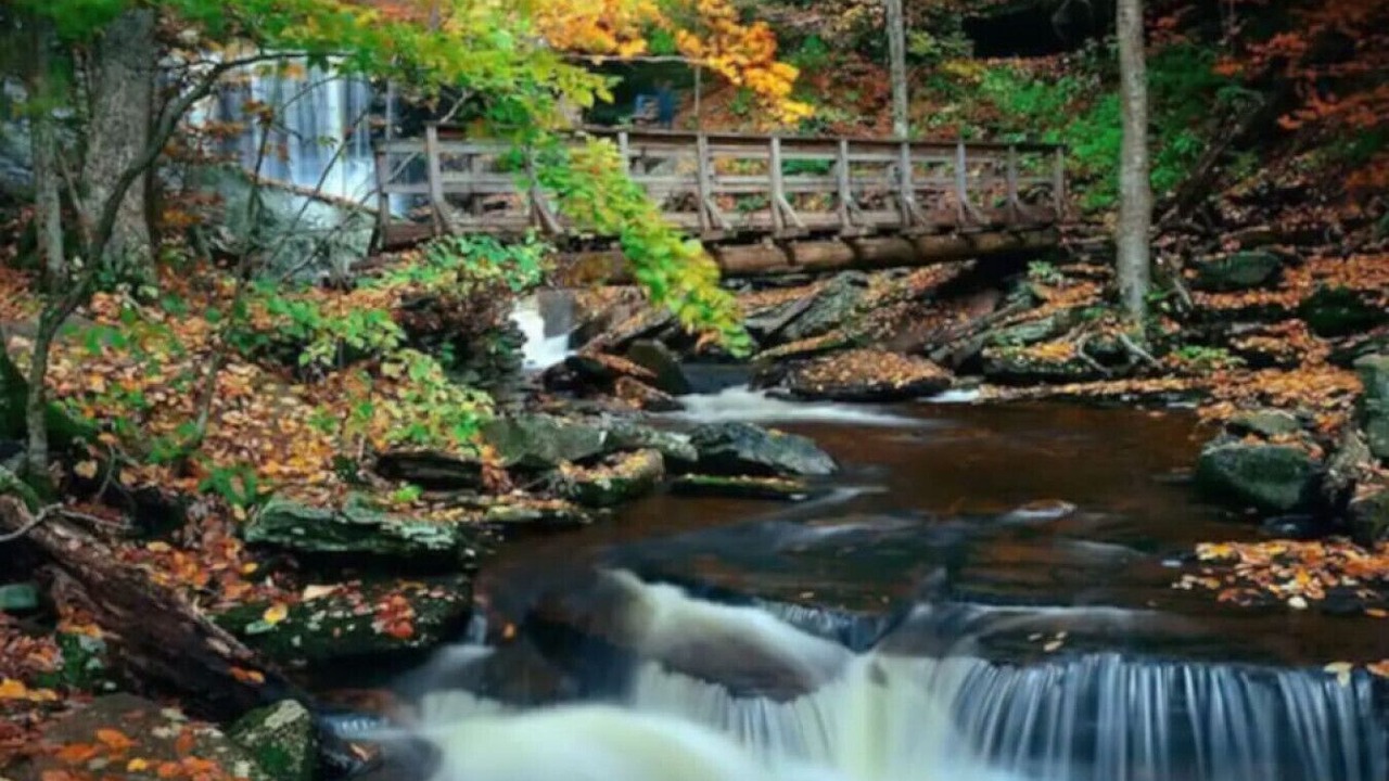 Photo of Outdoor in Pocono Summit