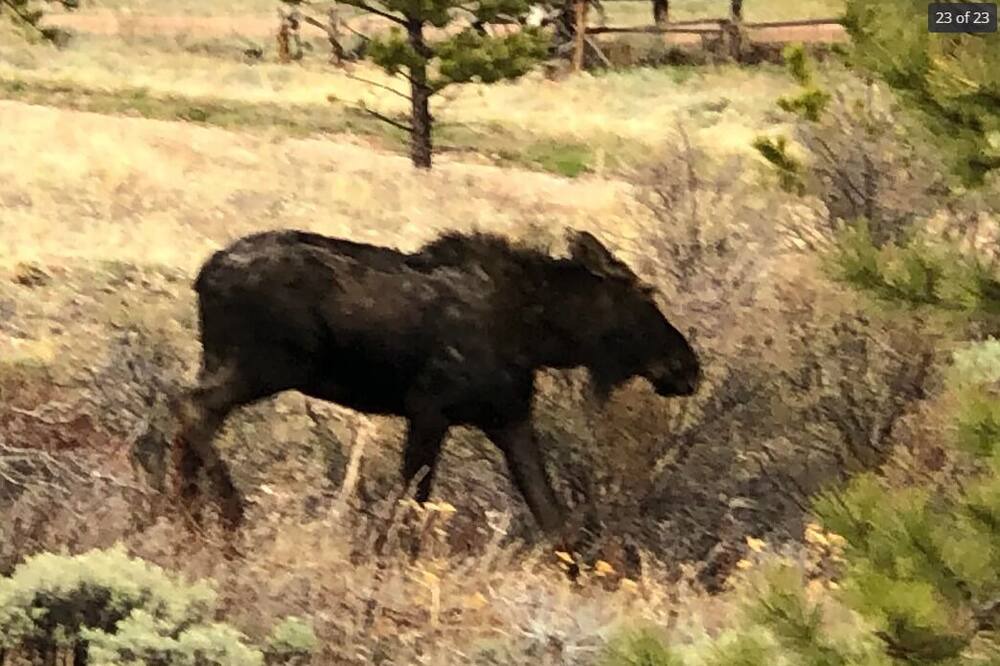 Photo of Others in Red Feather Lakes