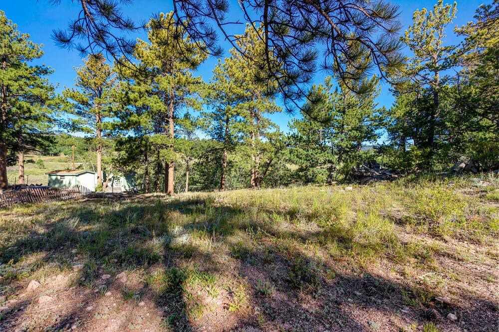Photo of Outdoor in Red Feather Lakes