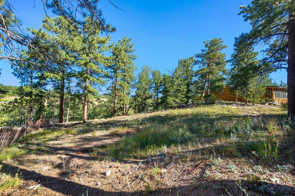 Photo of Outdoor in Red Feather Lakes