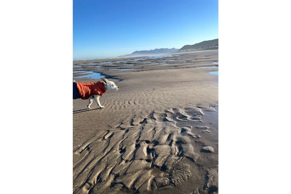 Photo of Others in Rockaway Beach