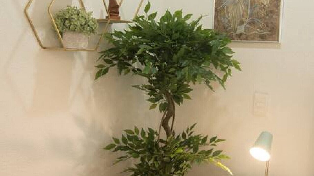 Photo of Others in La Joya