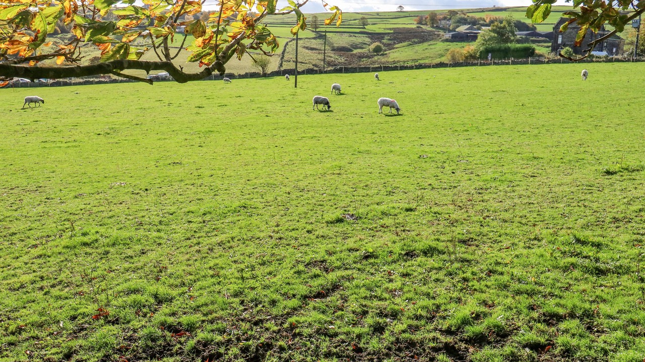 Photo of Outdoor in Sowerby Bridge