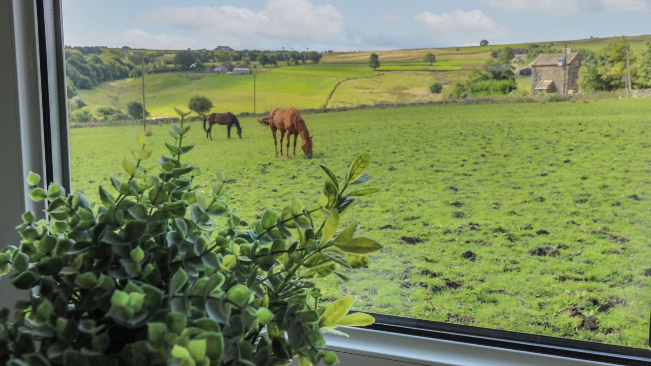 Photo of Others in Sowerby Bridge