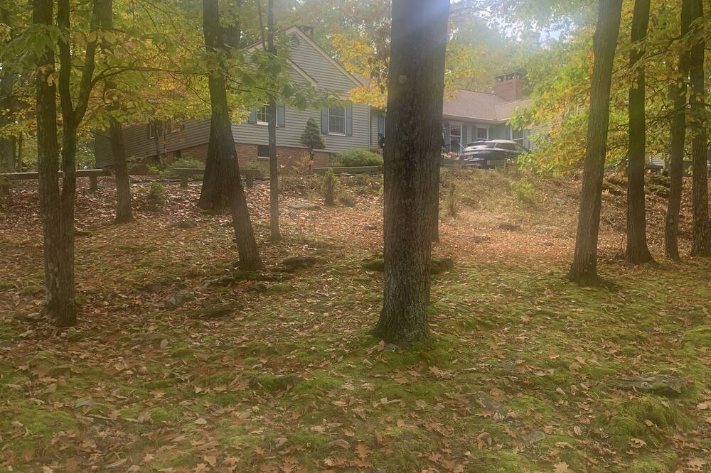 Photo of Outdoor in Greentown