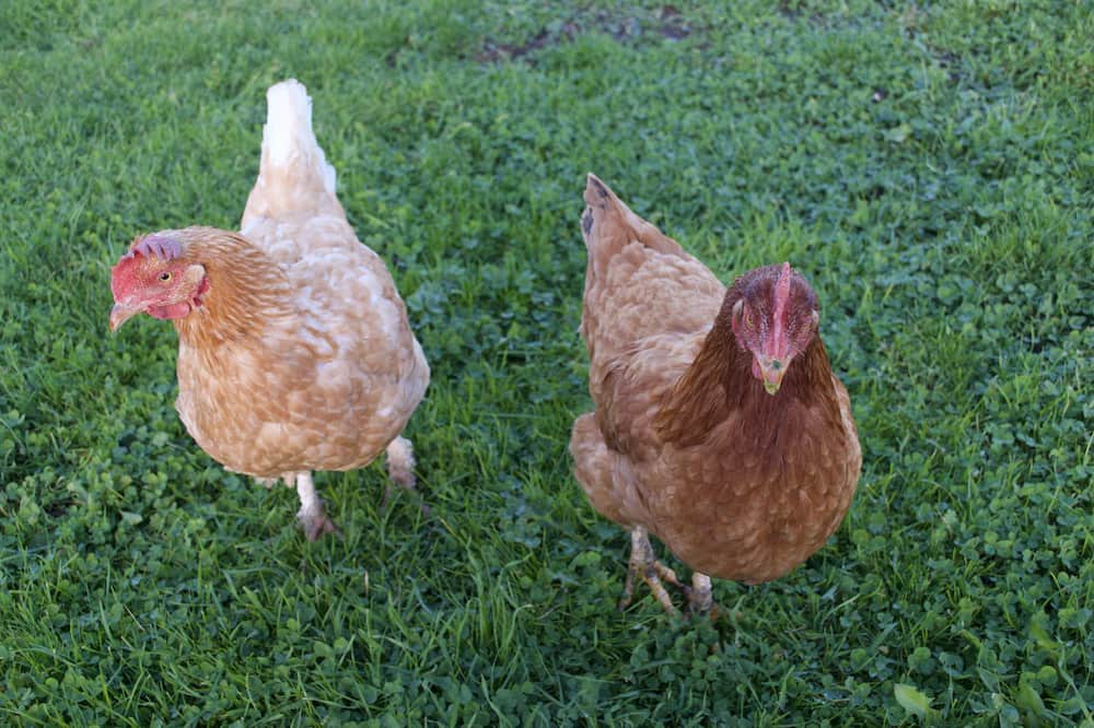 Photo of Others in Jeumont