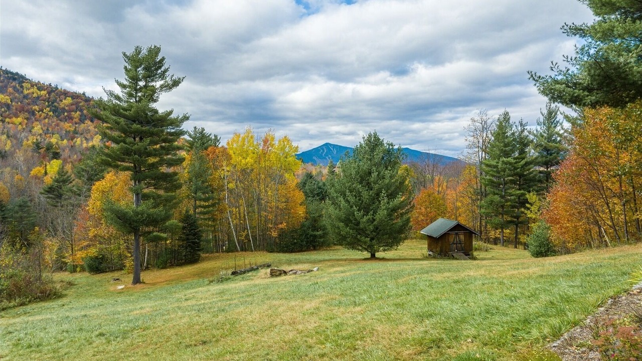 Photo of Outdoor in Upper Jay
