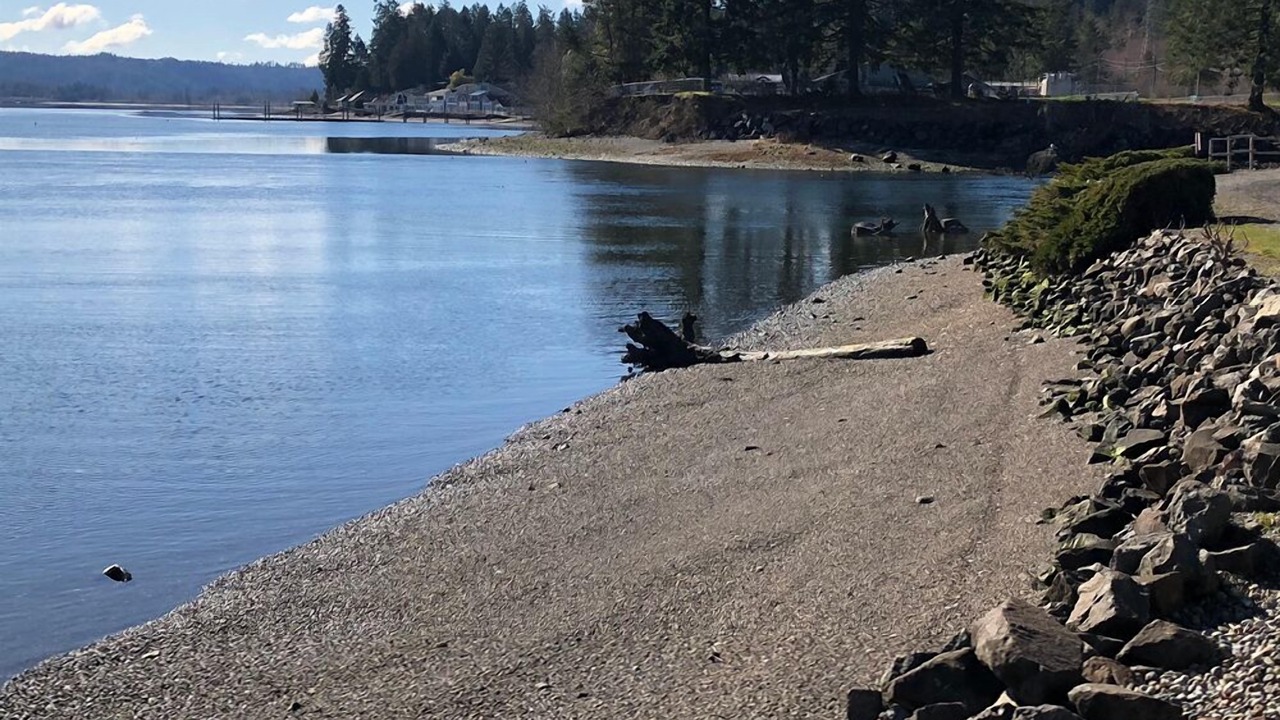 Photo of Outdoor in Potlatch