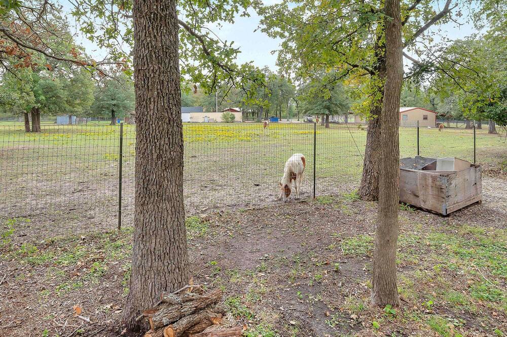 Photo of Outdoor in Waco