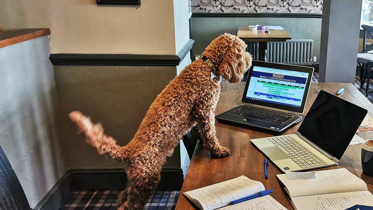 Photo of Others in Corbridge