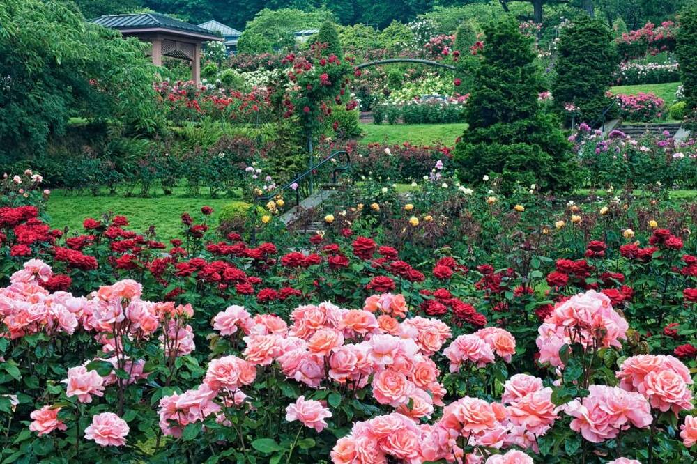 Photo of Others in Lake Forest