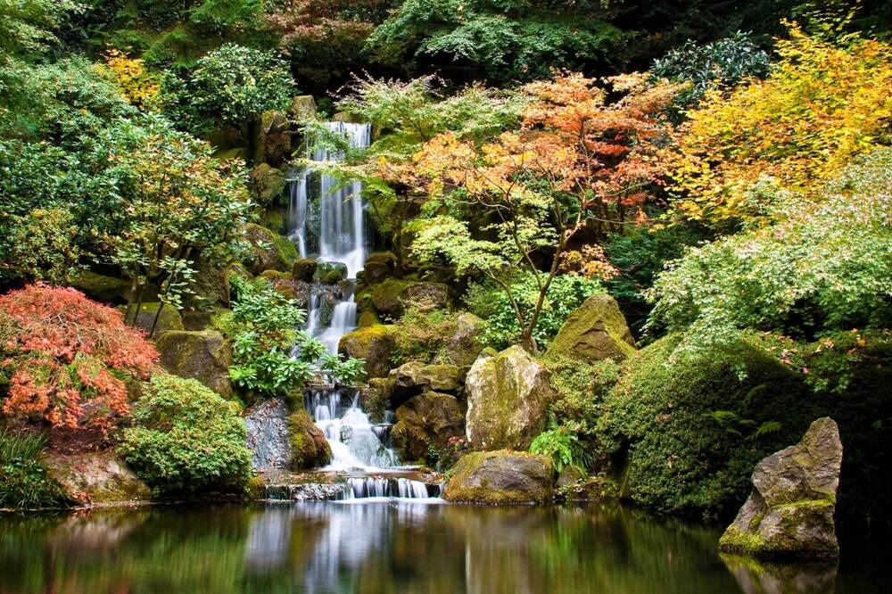 Photo of Outdoor in Lake Forest