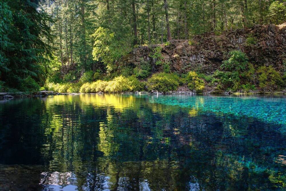 Photo of Others in Lake Forest