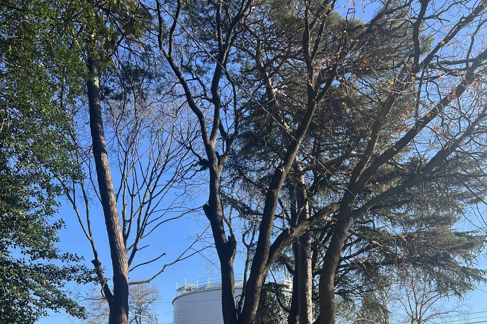 Photo of Others in Upper Darby