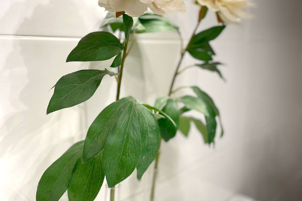 Photo of Others in Basseneville