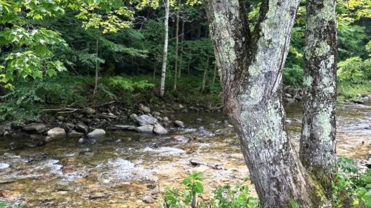 Photo of Outdoor in West Dover