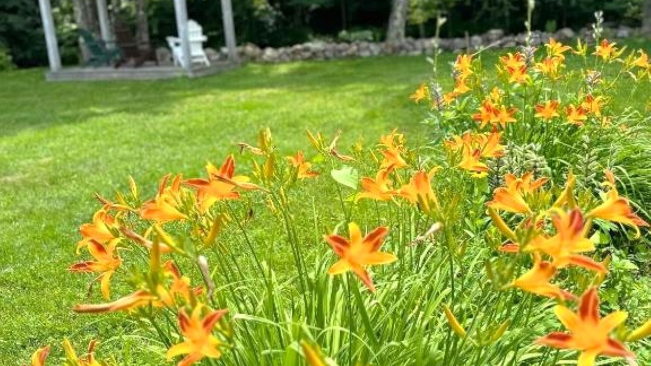 Photo of Outdoor in West Dover