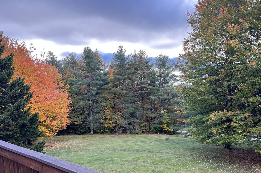 Photo of Others in Ludlow