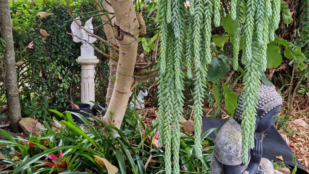 Photo of Outdoor in Maryborough