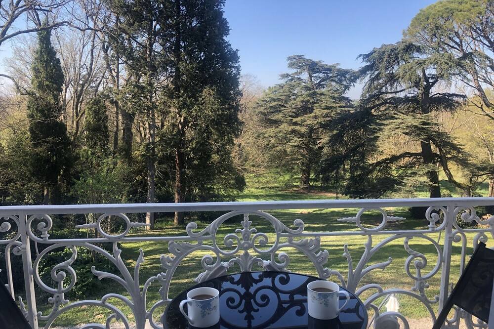 Photo of Others in Revel