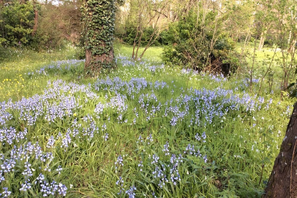 Photo of Others in Revel