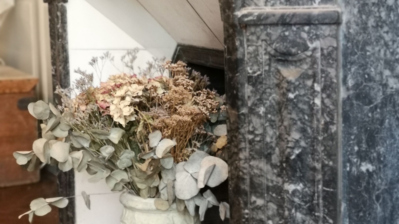 Photo of Others in Saint-Thurial