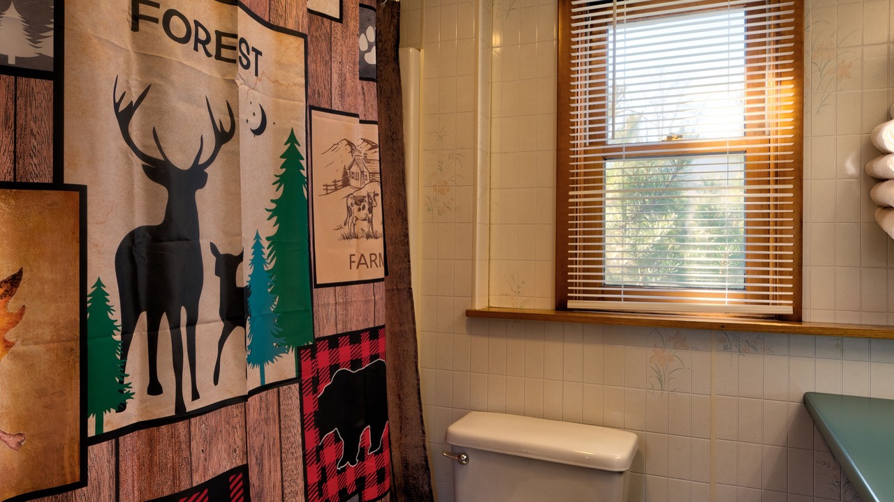 Photo of Bathroom in Franconia