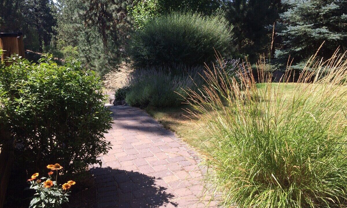 Photo of Outdoor in River West