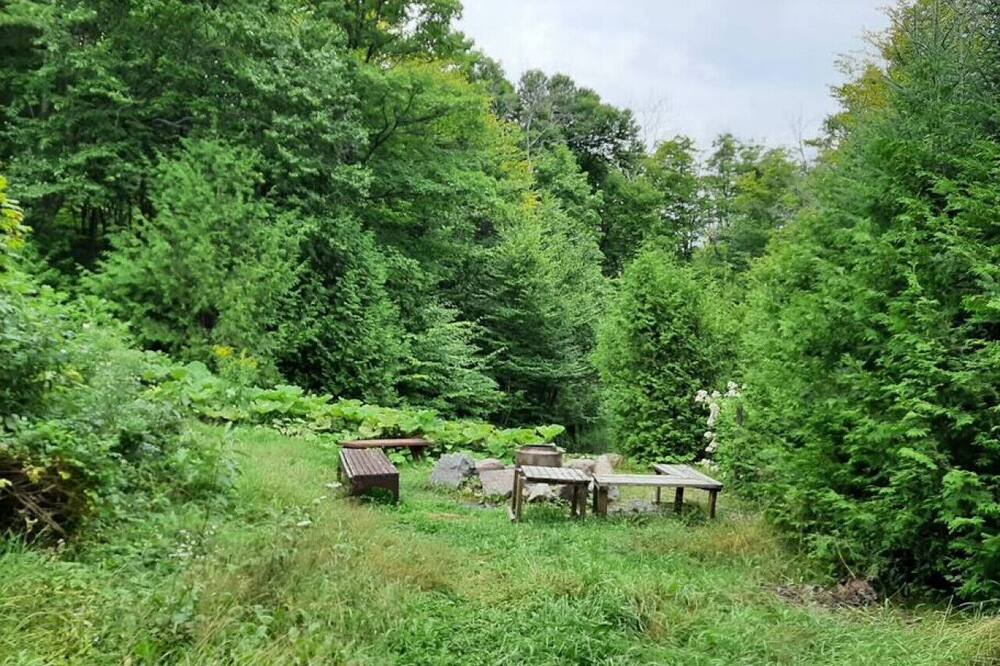 Photo of Others in St-Adolphe-d'Howard