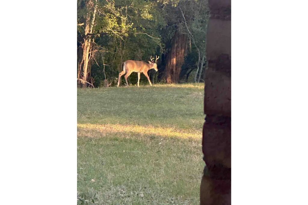 Photo of Outdoor in Junction