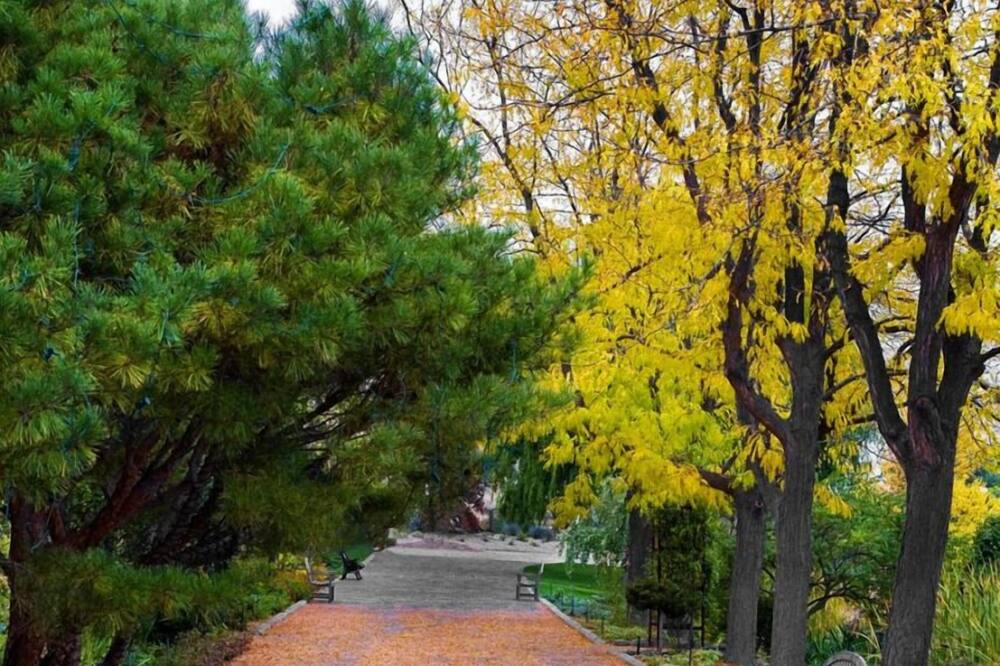 Photo of Outdoor in Southeast Boise