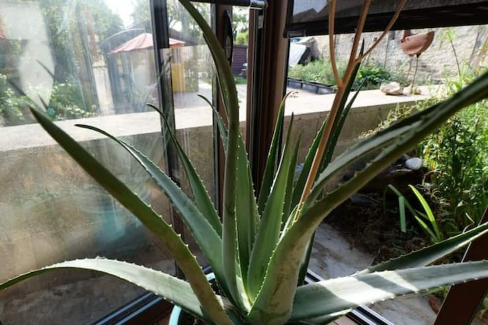 Photo of Others in Dormelles